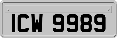 ICW9989