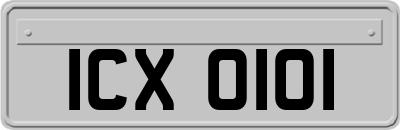 ICX0101