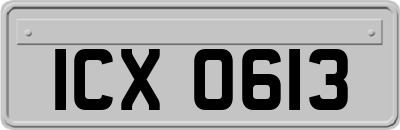 ICX0613