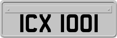 ICX1001