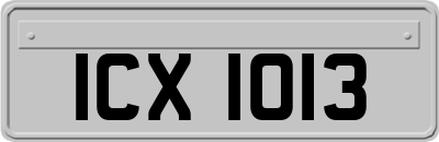 ICX1013