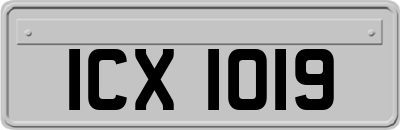 ICX1019