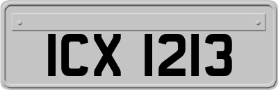 ICX1213