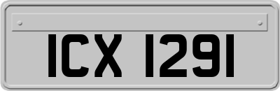 ICX1291