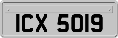 ICX5019
