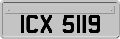 ICX5119