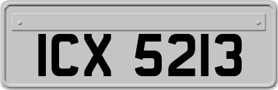ICX5213