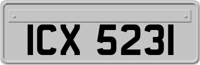 ICX5231