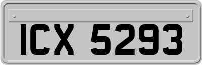 ICX5293