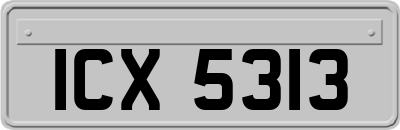 ICX5313