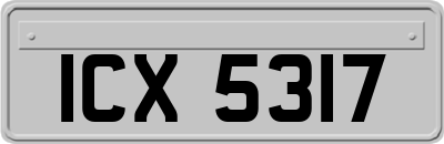 ICX5317