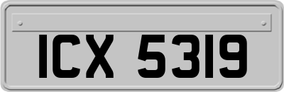 ICX5319