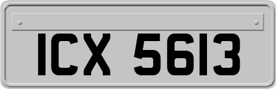 ICX5613