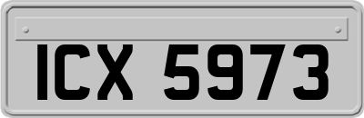 ICX5973