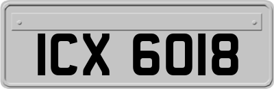 ICX6018