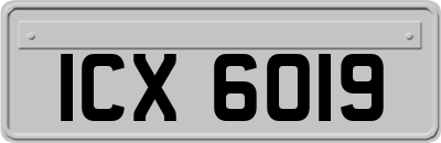ICX6019