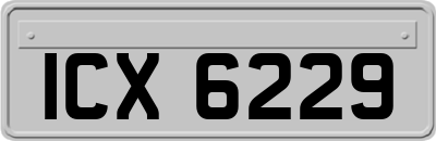ICX6229