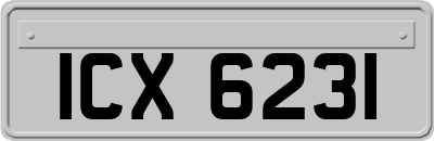 ICX6231