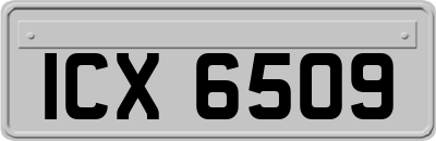 ICX6509