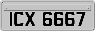 ICX6667