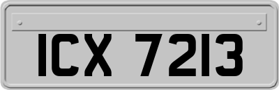 ICX7213