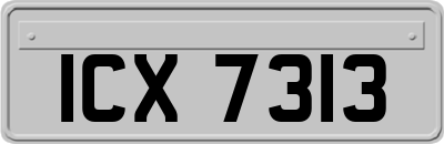 ICX7313