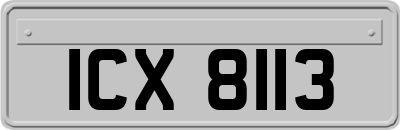 ICX8113