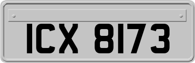 ICX8173
