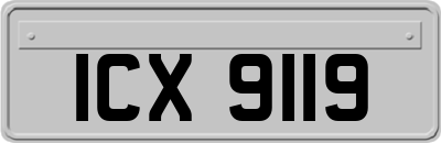 ICX9119