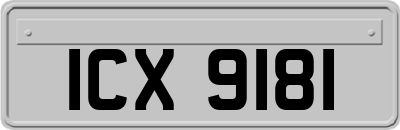ICX9181