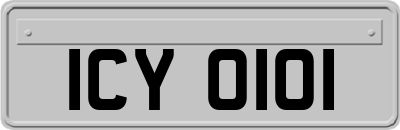 ICY0101