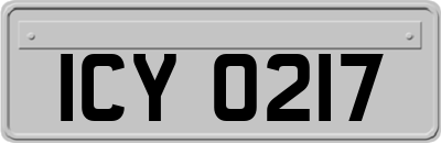 ICY0217