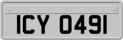 ICY0491