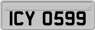 ICY0599