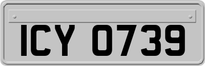 ICY0739