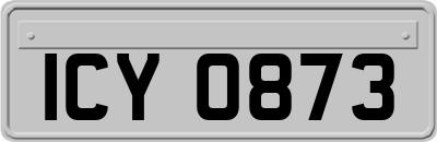 ICY0873