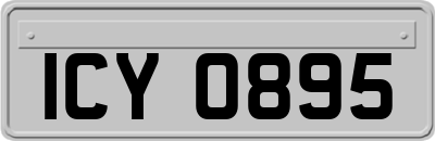 ICY0895
