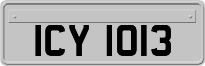 ICY1013