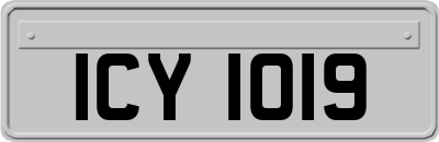 ICY1019