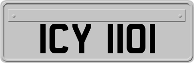 ICY1101