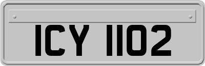 ICY1102