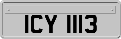 ICY1113
