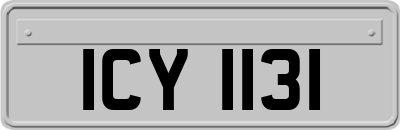 ICY1131