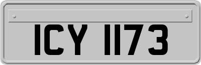 ICY1173
