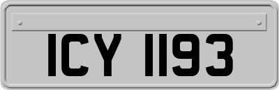 ICY1193
