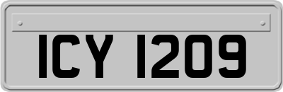 ICY1209