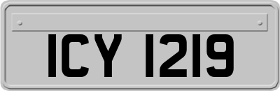 ICY1219