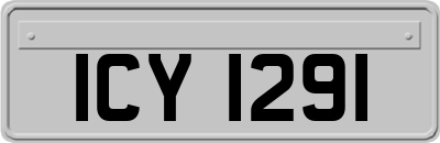ICY1291