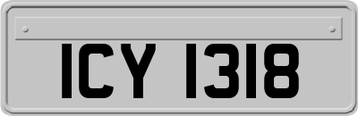 ICY1318