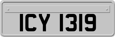 ICY1319